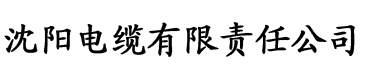 亚洲欧美一区二区三区久久久电缆厂logo